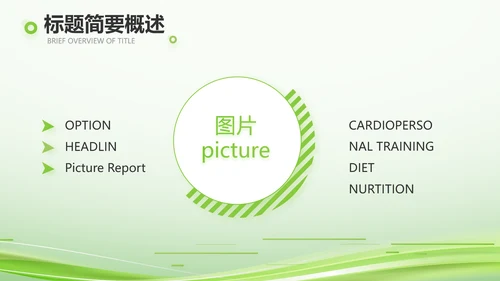 绿色智慧医疗建设工作总结动态PPT