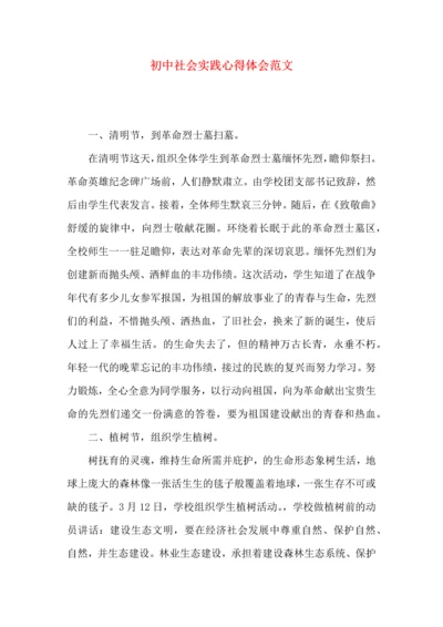 初中社会实践心得体会范文.docx