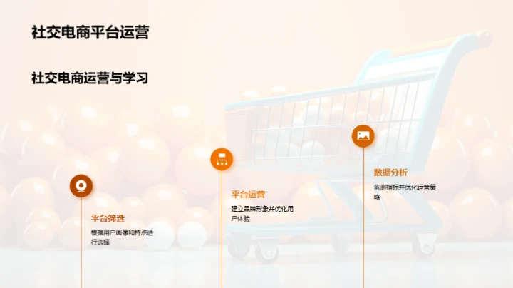 双十二社交电商深度探索