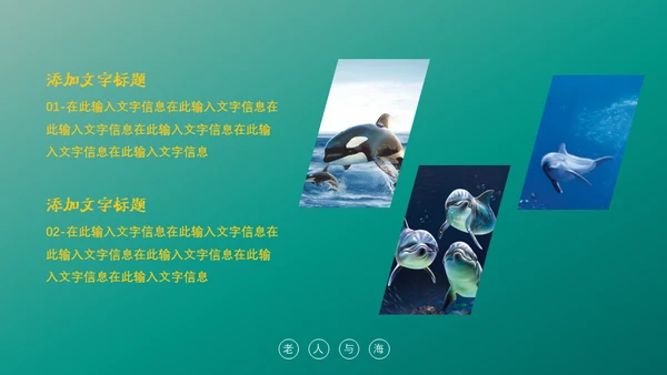绿色海洋生物海洋资源通用PPT模板