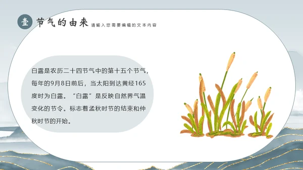 白露节气宣传白鹤通用PPT模板