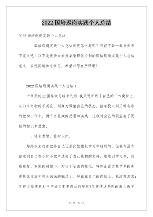 2022国培返岗实践个人总结.docx