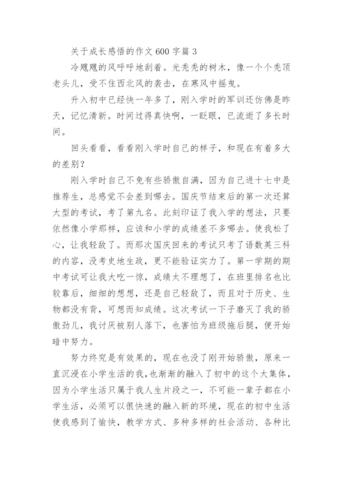 关于成长感悟的作文600字5篇.docx