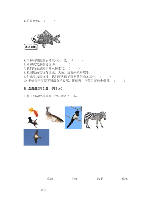 教科版一年级下册科学期末测试卷带答案（实用）.docx