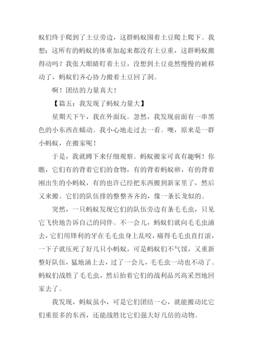 关于蚂蚁作文400字.docx