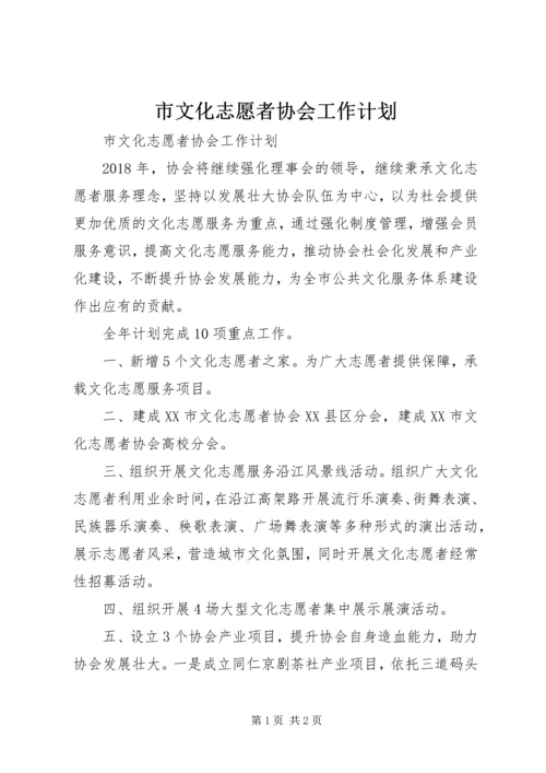 市文化志愿者协会工作计划 (2).docx