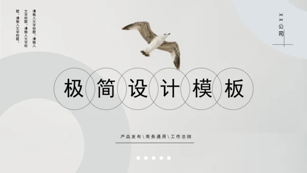 极简设计产品宣传海鸟通用PPT模板