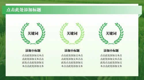 绿色渐变简约风三下乡社会实践纪实PPT模板