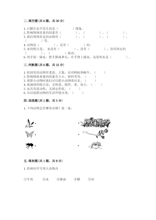 教科版一年级下册科学期末测试卷（名校卷）.docx