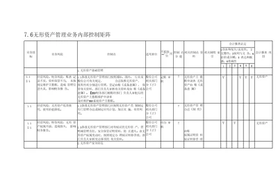 无形资产管理业务控制矩阵