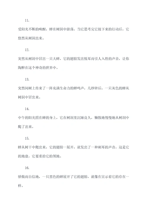 昆虫记蝉出洞好词好句
