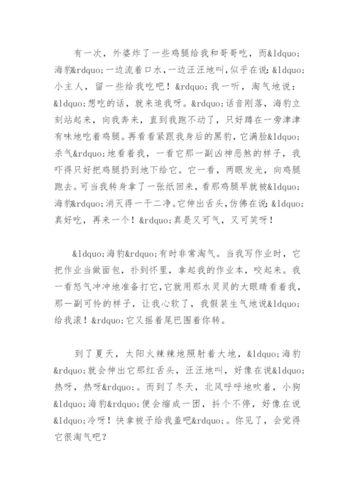 我的动物朋友小狗优秀作文(精选3篇).docx