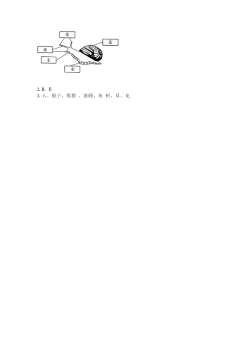 教科版一年级下册科学期末测试卷（典型题）.docx