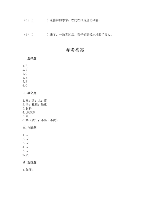 教科版科学二年级上册《期末测试卷》精品（b卷）.docx