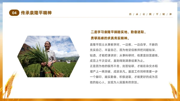 黄色实拍稻穗522纪念杂交水稻之父袁隆平主题班会PPT纪念袁隆平