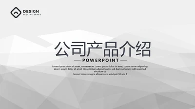 灰色公司产品介绍宣传通用PPT动态模板