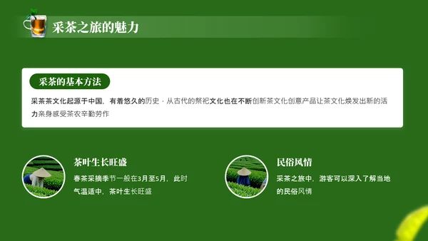 茶文化采茶旅游PPT模板_采茶之旅与文化体验报告PPT模板