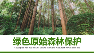 原始森林湿地植树造林森林环保PPT模板