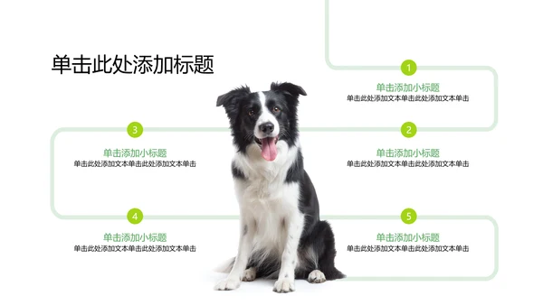 彩色简约几何风宠物行业职业介绍PPT模板