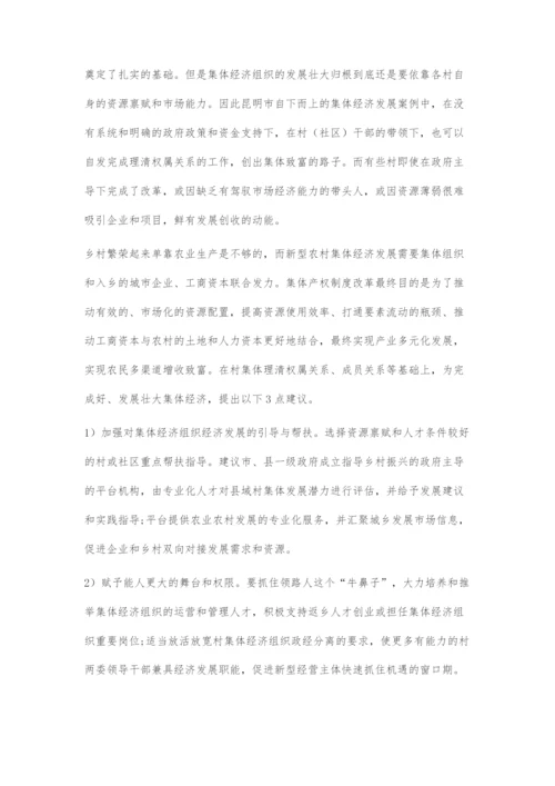 发展壮大新型农村集体经济的路径探索.docx
