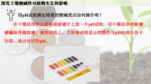 跨学科实践活动9  探究土壤酸碱性对植物生长的影响课件(共33张PPT)