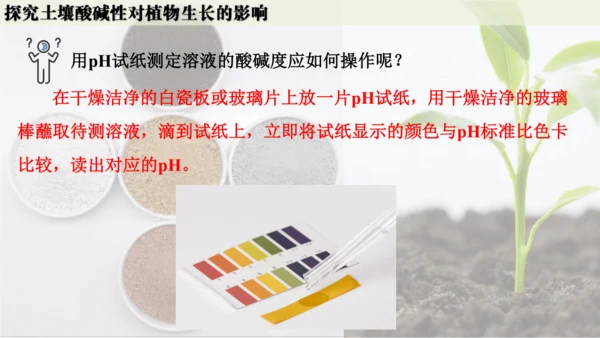 跨学科实践活动9  探究土壤酸碱性对植物生长的影响课件(共33张PPT)