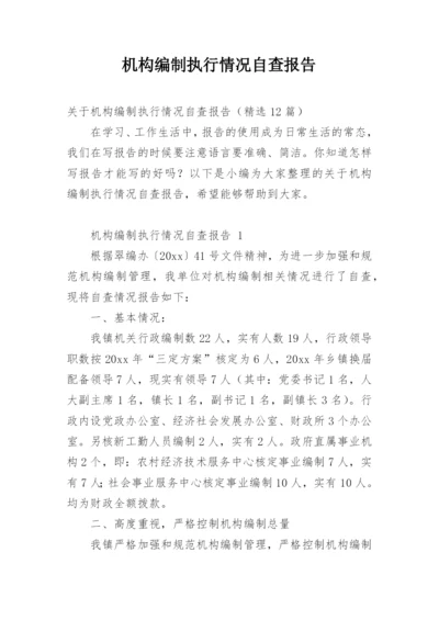 机构编制执行情况自查报告_5.docx