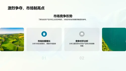 双十一农产品销售策划