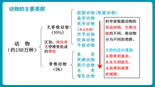 第一章动物的主要类群（复习课件）-八年级生物上册同步教学精制课件（人教版）(共25张PPT)