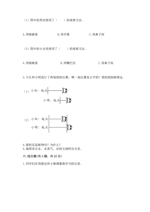 教科版一年级上册科学期末测试卷（易错题）.docx