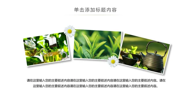 绿茶产品介绍茶叶茶文化春茶紫砂壶PPT
