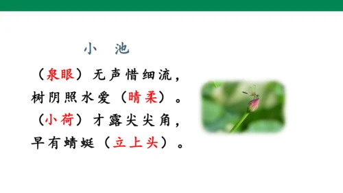 11古诗二首 小池  课件