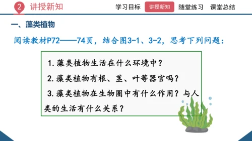 3.1.1 藻类、苔藓和蕨类植物课件 2023--2024学年人教版生物七年级上册(共26张PPT)