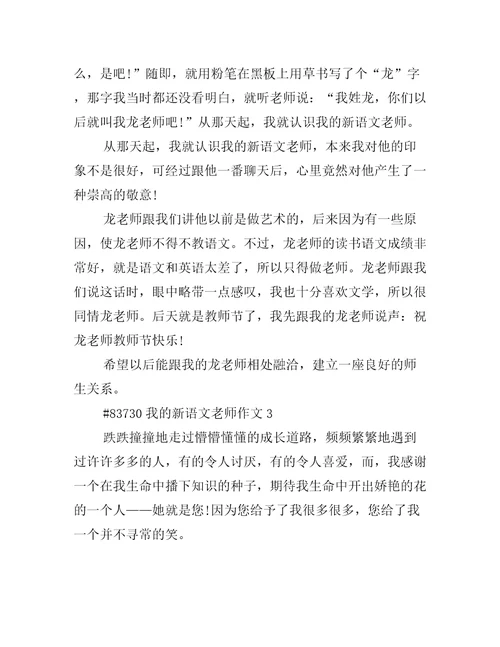 我的新语文老师作文