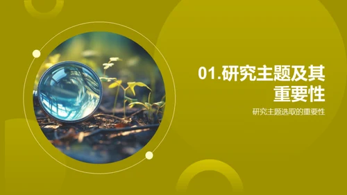 历史探秘之旅