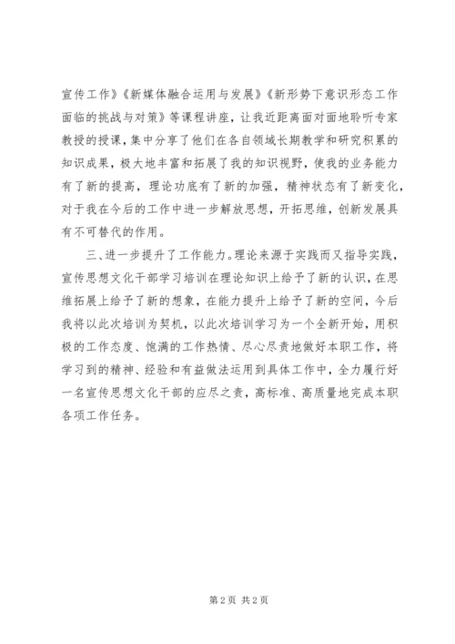 宣传思想文化干部培训学习心得体会.docx