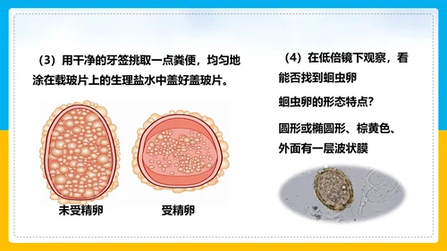 初中生物预防传染病教学PPT课件