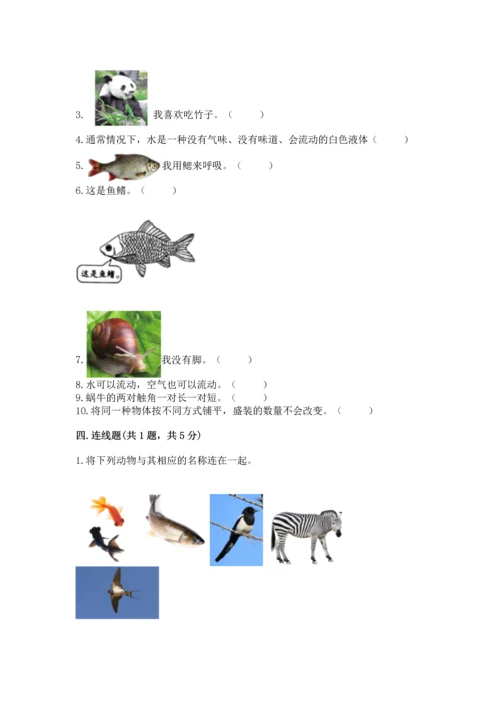 教科版一年级下册科学期末测试卷及参考答案（轻巧夺冠）.docx