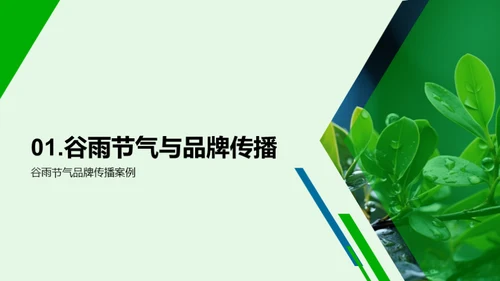 谷雨节气品牌传播战略
