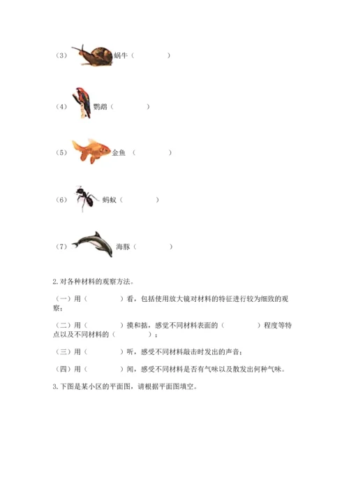 教科版二年级上册科学期末测试卷附答案【培优b卷】.docx