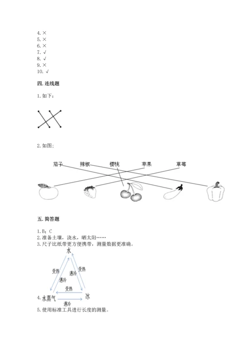 教科版一年级上册科学期末测试卷及参考答案ab卷.docx