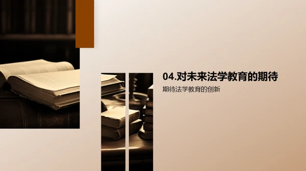 法学教育：我为改革献策