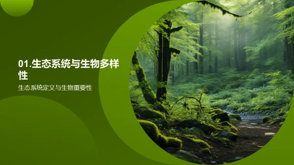 生态多样性与平衡