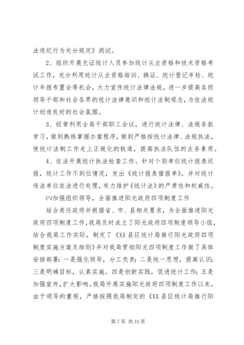统计局年度工作总结及工作计划 (2).docx