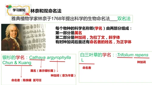 人教版生物七年级上册2.4.2《生物分类的方法——从种到界》课件(共26张PPT)