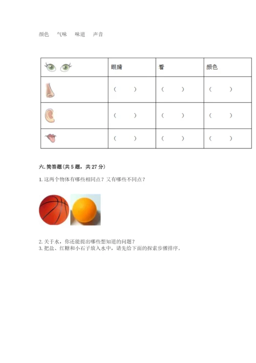 教科版一年级下册科学期末测试卷附参考答案（综合卷）.docx