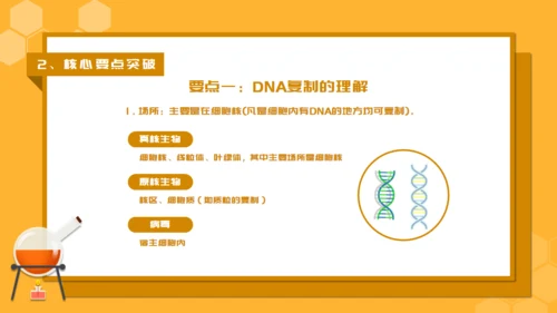 人教版生物课《DNA的复制》通用PPT课件