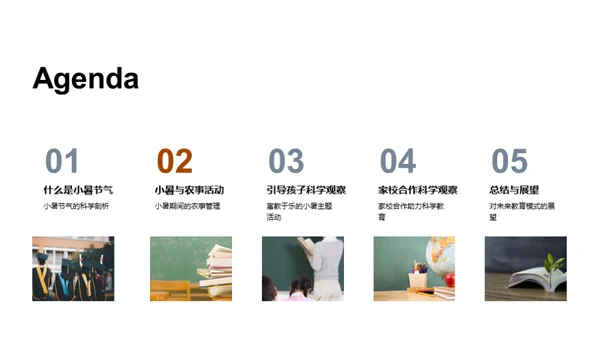 小暑科学探索