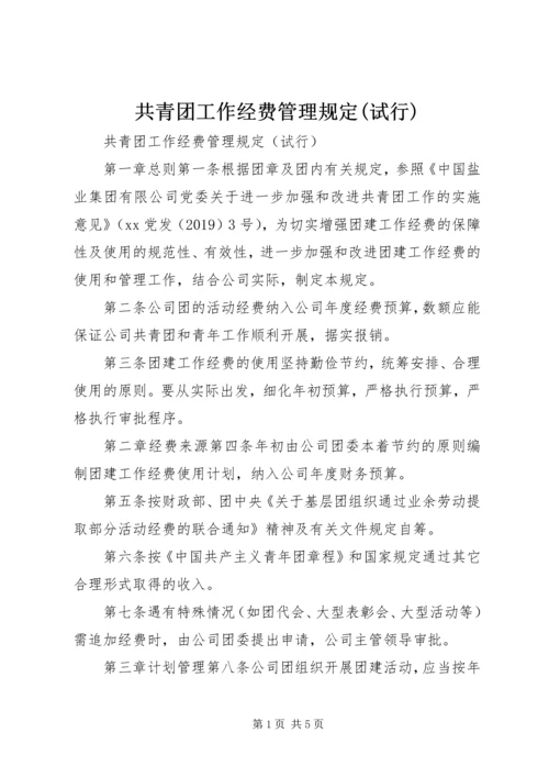 共青团工作经费管理规定(试行).docx