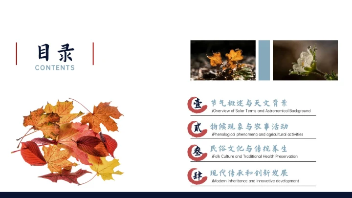 瓷青色简约风寒露节气PPT模版